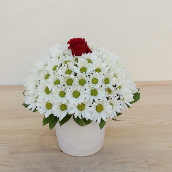  Manavgat Çiçek Siparişi - BF-588