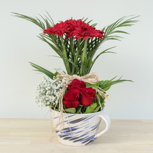  Manavgat Çiçek Siparişi - BF-505