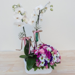  Manavgat Çiçek Siparişi - BF-524