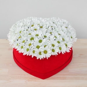  Manavgat Çiçek Siparişi - BF-541