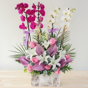  Manavgat Çiçek Siparişi - BF-548