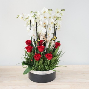  Manavgat Çiçek Gönder - 568