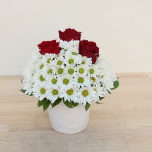  Manavgat Çiçek Siparişi - BF-569