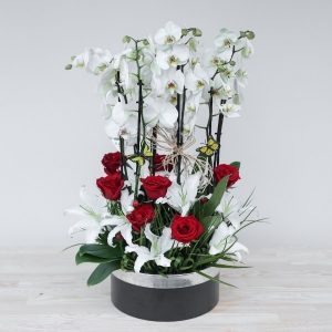  Manavgat Çiçek Siparişi - BF-572