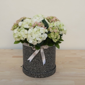  Manavgat Çiçek Siparişi - BF-577