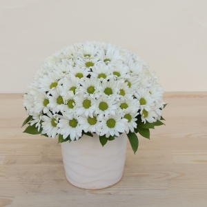  Manavgat Çiçek Siparişi - BF-581