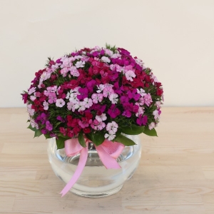  Manavgat Çiçek Siparişi - BF-583