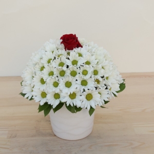  Manavgat Çiçek Siparişi - BF-588