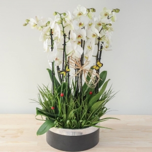  Manavgat Çiçek Siparişi - BF-403