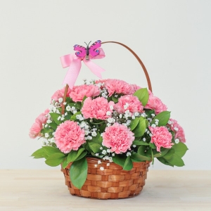  Manavgat Çiçek Siparişi - BF-418