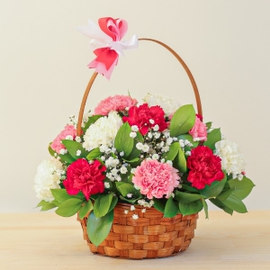  Manavgat Çiçek Siparişi - BF-420